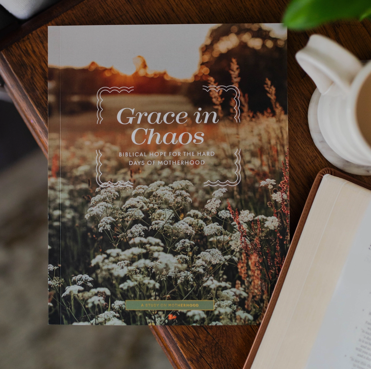 Grace in Chaos 5 Week Study